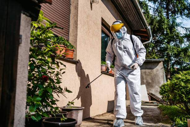 Best Affordable Pest Control Services  in Ridgway, PA