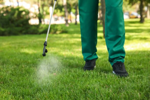 Best Residential Pest Control  in Ridgway, PA