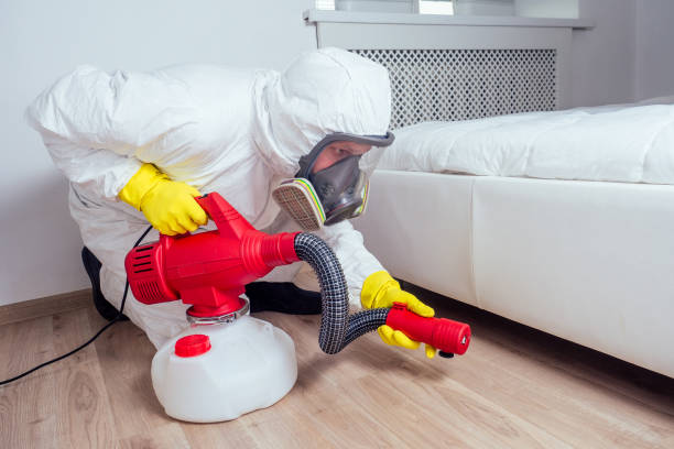 Best Flea Control Services  in Ridgway, PA